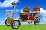 The Latest Electric Tricycle (SD-ET01)