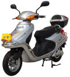 Electric Scooter (TD-06B)