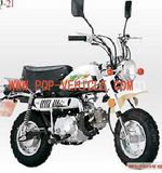 EPA Dirt Bike [DB50Q-2I-P(EPA)]