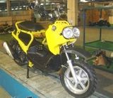 Motorcycle (DS125-ZM)