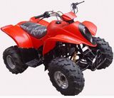 Sports EEC ATVs (JY110ST-8)