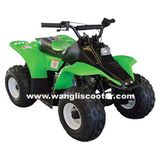 50cc CDI Ignition ATV (WL-ATV02B)