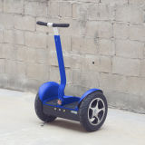 2015 Top-Selling CE Approved Echo E 2 Wheel Electric Scooter