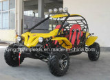 500cc Dune Buggy 4X4 Go Cart with EPA