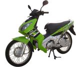 Cub Bike (125M)