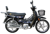 Motorcycle (QLM100-8)