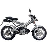 Dirt Bike (ACE110GY)