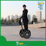 2015 New Design 2 Whees Mobility Scooter with Brushless Motor