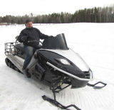 800cc 3 Cylinder Efi Snowmobile/Snow Mobile/Snow Sled/Snow Ski/Snow Scooter with CE