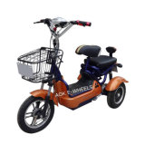 3 Wheel Disabled Electric Mobility Scooter with LED Lights (TC-013)