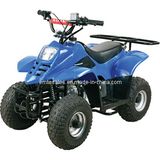 Automatic 110CC ATV for Kids (ET-ATV003)