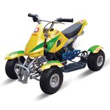 49cc ATV (gaslione or electric)