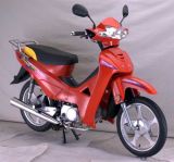 Motorcycle/ Moped (48Q-7)