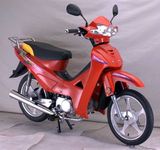 Motorcycle/ Moped (48Q-7)