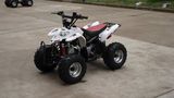 EEC ATV (110S-9)