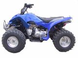 110CC Raptor ATV Chain Drive (110ST-D)