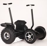 China Two Wheel Self Balance Electric Scooter Ecorider Scooter Personal Transporter