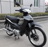 China Cub Motorcycle 110cc, 120cc, 125cc