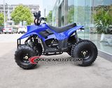 Gas-Powered 4-Stroke 70cc-110cc Engine ATV
