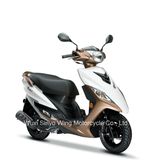 Nice Good Design 125cc Gasoline Scooter