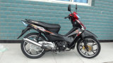 Cub Motorcycle (DIBO110-16)