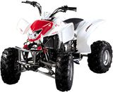 200CC Atvs / Quad (HL-A412)