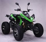 Quad (JZ-ATV-250H)