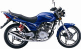 Motorcycle (FK125-4(Feichi))