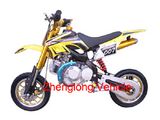 Dirt Bike (ZLDB-02D)