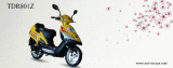 Electric Scooter (TDR801Z)
