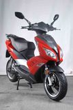 Electric-Scooter 800w 25km/h EEC approved (T1)