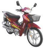 Motorcycle (SY100-13/taibentian)
