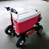 Cooler Scooter