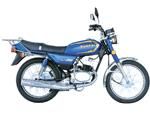 Motorcycle (AX100)