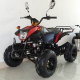 Mini Quad Bikes (MA250E-N)