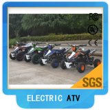 ATV Electrical