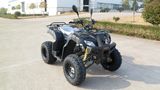 200cc Automatic EEC Utility Racing ATV (MDL200AUG)