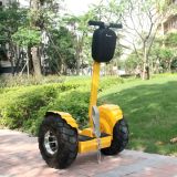 Wind Rover 1800W Electric Bike Part for Sale
