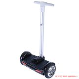 Chinese Chariot 2 Wheel Electric Scooter Self Balance Stand up Scooter/Electric Mobility Scooter