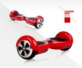 Two Wheel Lithium Battery Smart Self Balance Electric Scooter