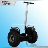 Wind Rover Big Wheel Electric Scooter, Standing Electric Scooter