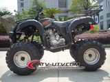 Direct Selling Automatic Quad Bikes for Sale