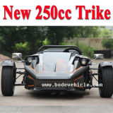 New 250cc Racing Tricycle Motorcycle
