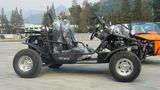 Go Cart (650/800CC)