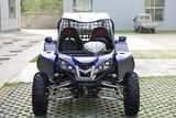 Blue 1100CC Go Kart (RL1100 4*4)