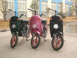 Electric Bikes (OIC-B04)