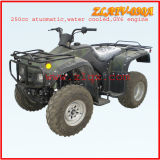 250cc 4 Stroke Single Cylinder Water Cooling GY6 Engine Automatic (ZLATV-030A)
