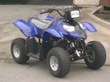 50cc ATV with EEC