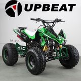 Upbeat Motorcycle Childrens Quad S-5 Style 125 Cc Engine Miniquad 125 CCM Razer Black