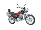Motorcycle (ZX125-18B)